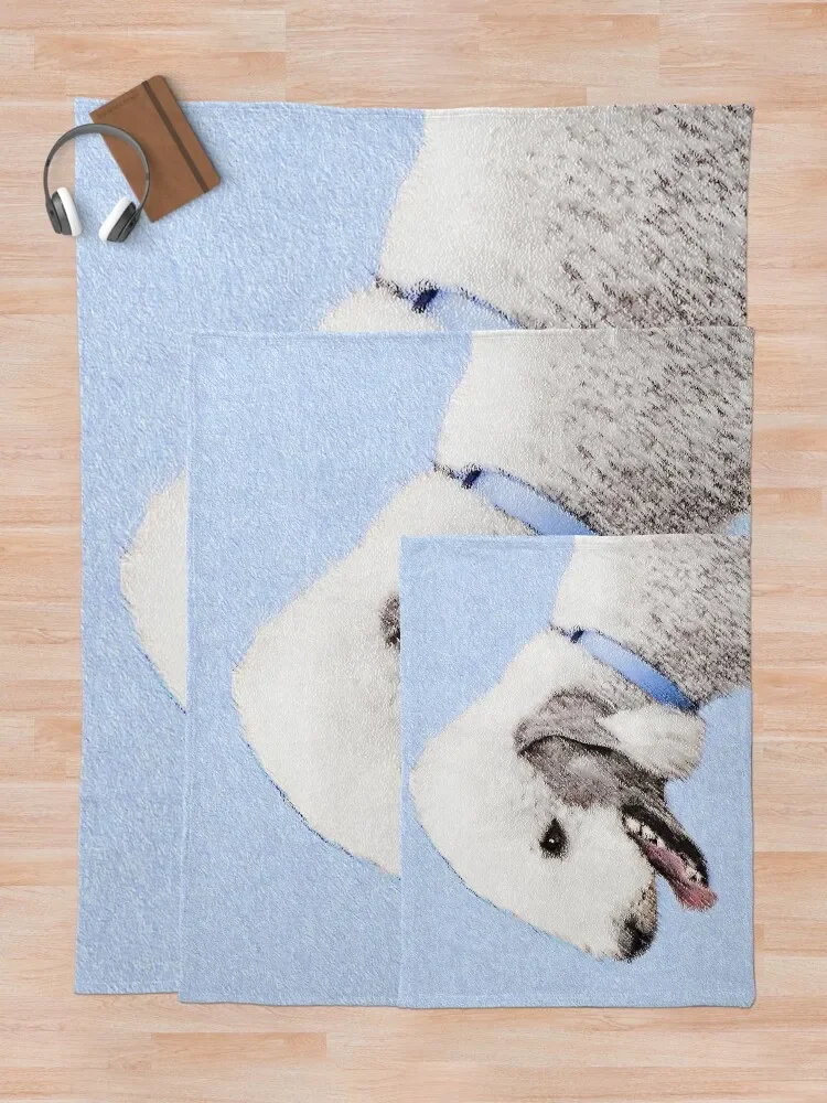 Bedlington �׸��� ������ ���, ���� �ö��� ǫ���� ���� ���