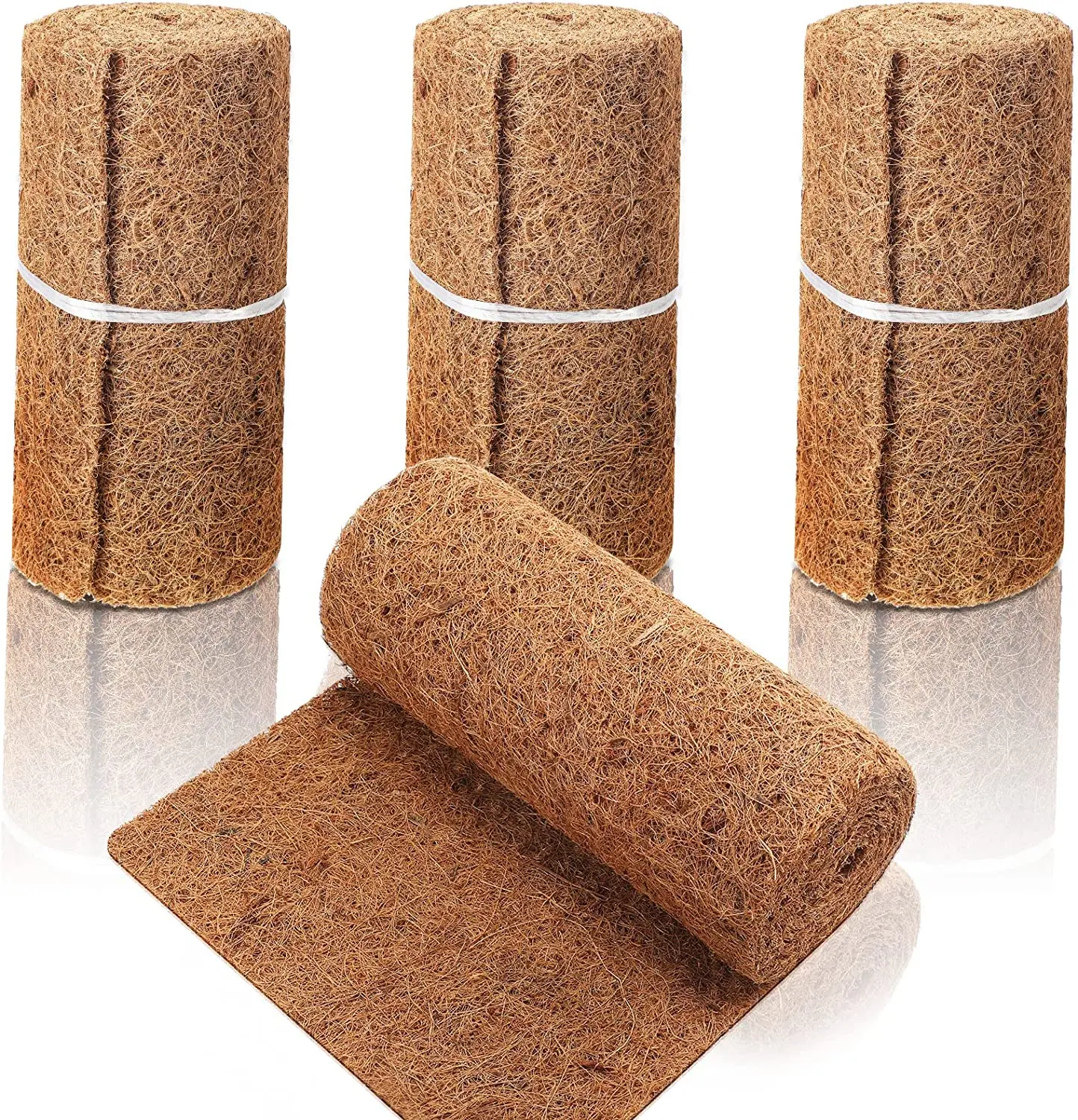 Store Home Products Feedback