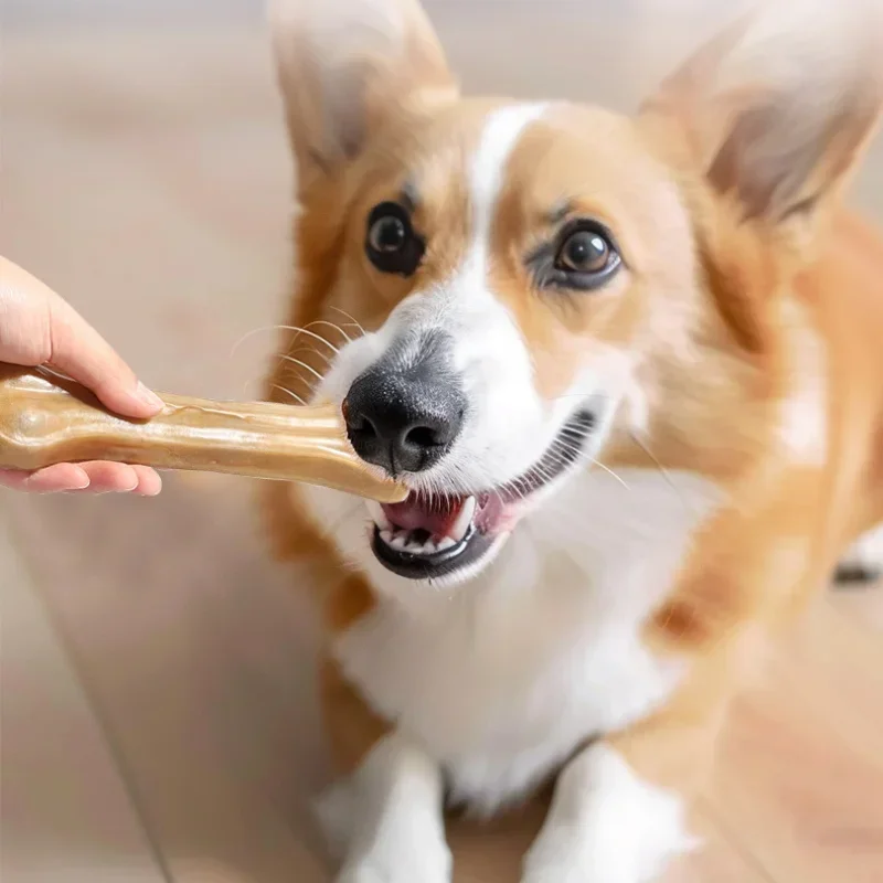 Dog Snacks Gum Stick Bone Bite Resistant Dog Teething Stick Clean Teeth Interactive Snacks Training Reward Pet Chewing Training