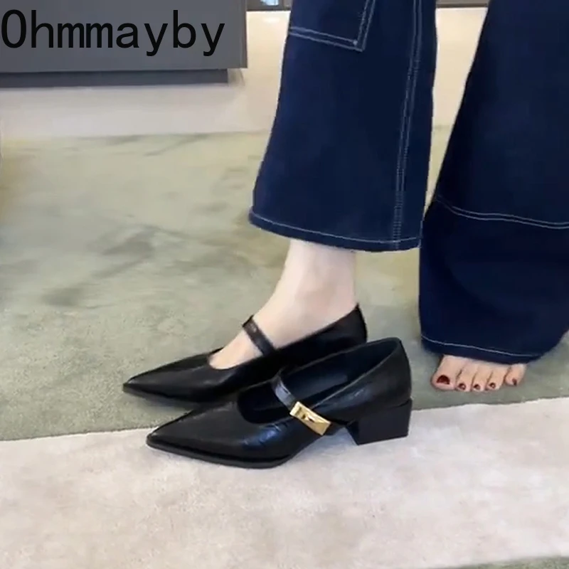 Pointed Toe Low Heel Women Mary Jane Shoes Fashion Shallow Buckle Shoes Ladies Elegant Dress Street Style Shoes 5