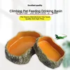 Pet Reptile Water Bowls Terrarium Plate Reptile Feeder Amphibian Feeding Bowl for Frog Chameleon Tortoise Bearded Dragon Turtle 4