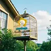 Bird Mirror For Cage Parrot Toys Mirror Cockatiel Perch Chewing Flower Shape Enrichment Stand Pet Supplies Cockatiel Cage 2