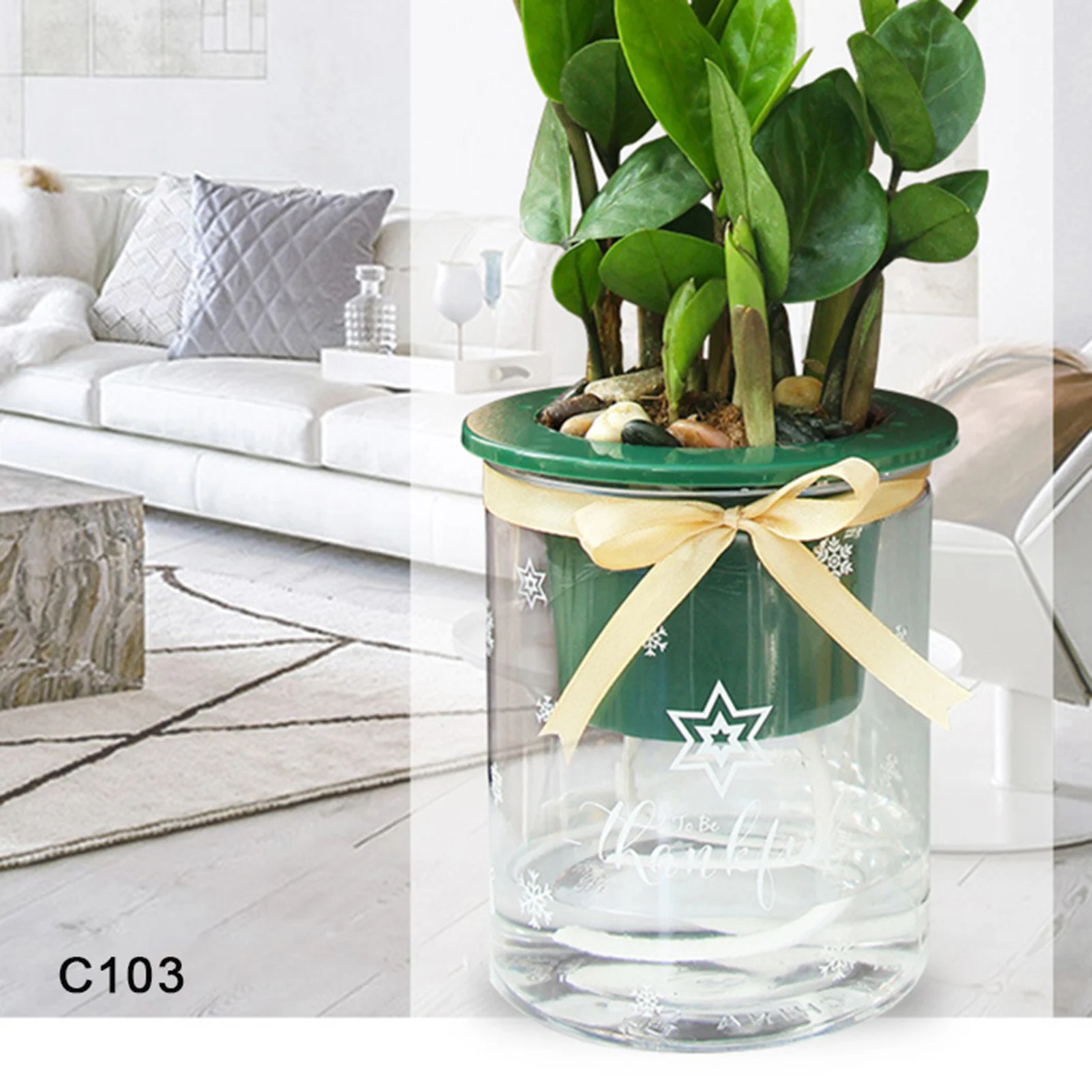 Self-Watering Indoor Planter with Absorbent Cotton Rope
