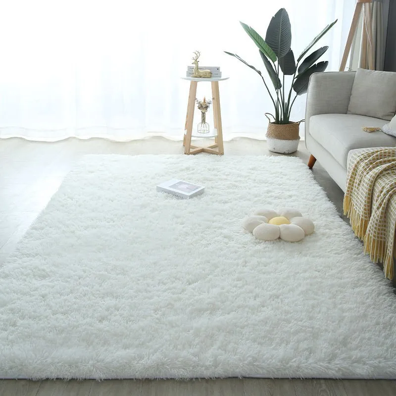 Washable Fluffy Living Room Rug 6