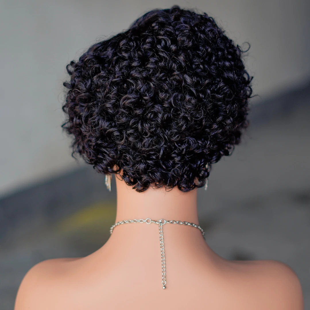 Water Wave Wig 13x4x1 T Part Lace Front Wigs Short Curly Pixie Cut Human Hair Wigs Transparent Lace For Women