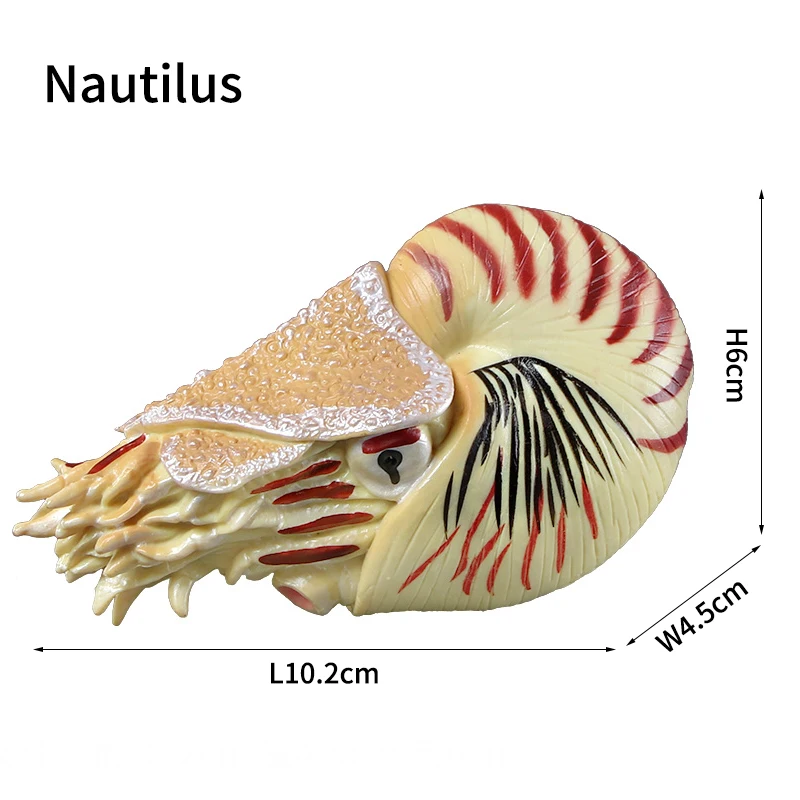 Realistic Sea Life Figure Toy - Shark and Whale Ocean Animal