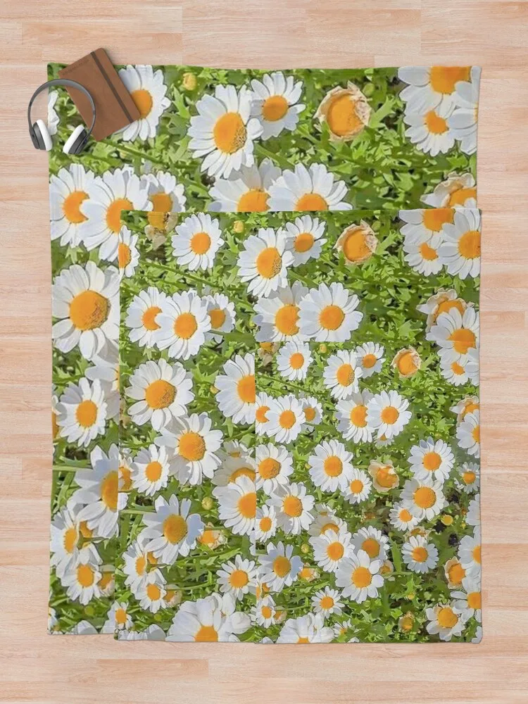 ������ �ʵ� ������ ���, �����̳� ���, �ö��� ���� ħ��, ���� ���