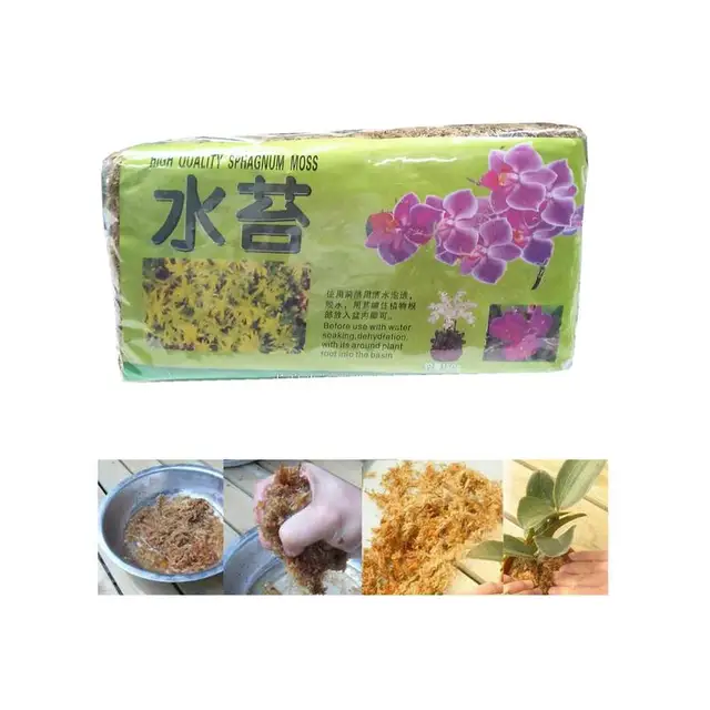 Szárított Mohás Cserepes Növényekhez Sphagnum Moha Organikus Műtrágya Virághoz És Növények Hidratáló Táplálkozási