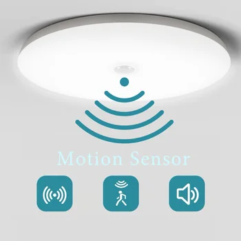 PIR Sensor Ceiling Lamp 1