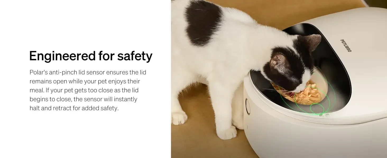 wet food feeder