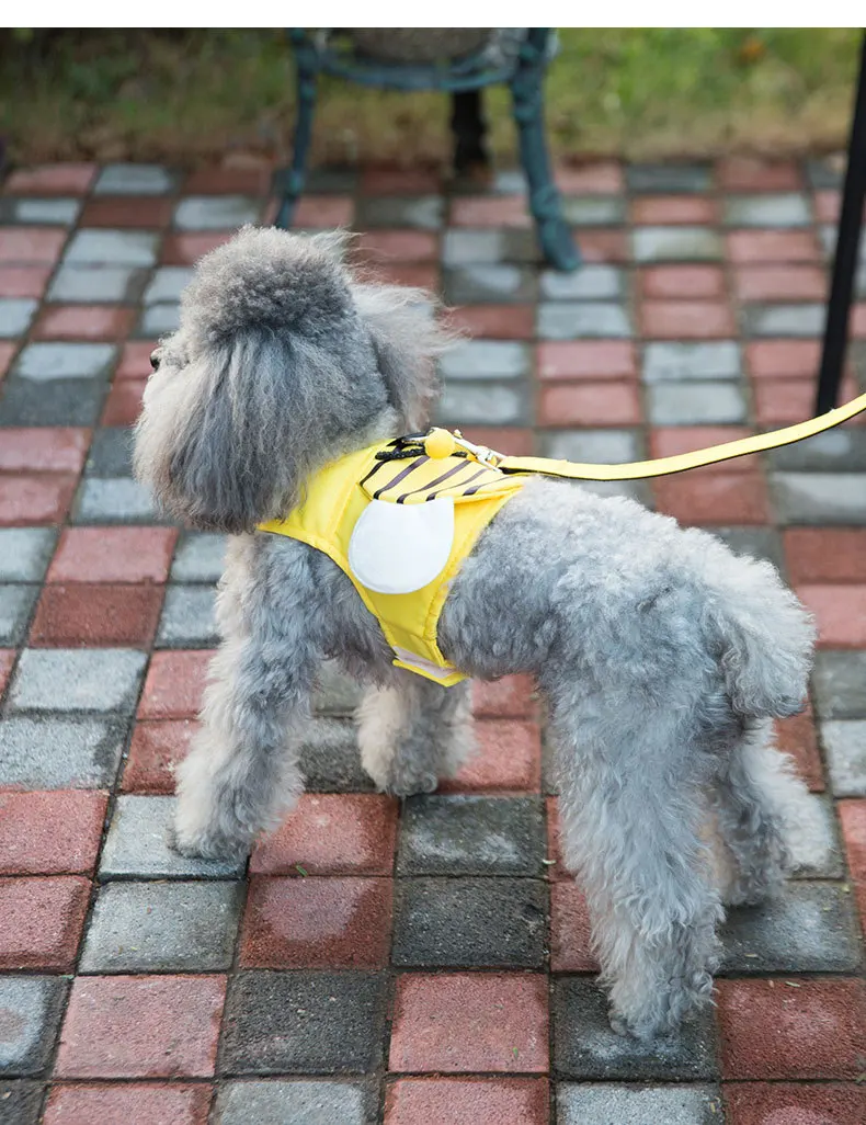 A poodle puppy wearing a yellow vest on a brick walkway.