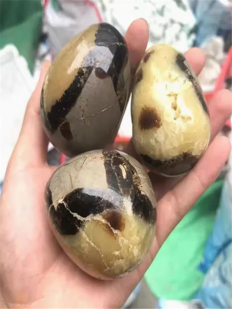 Natürliches Drachen-Septarian-Quarzkristall-Ei, heilende geodätische Vermessung, Mineralprobe – Detail 5