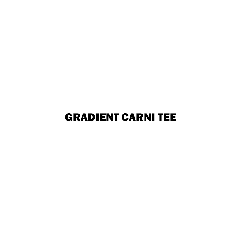 

GRADIENT CARNI TEE