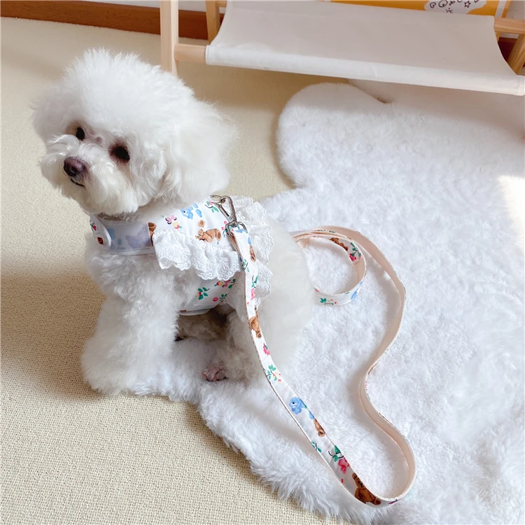 Cute Dog Princess Dress Skirt Walking with Leash