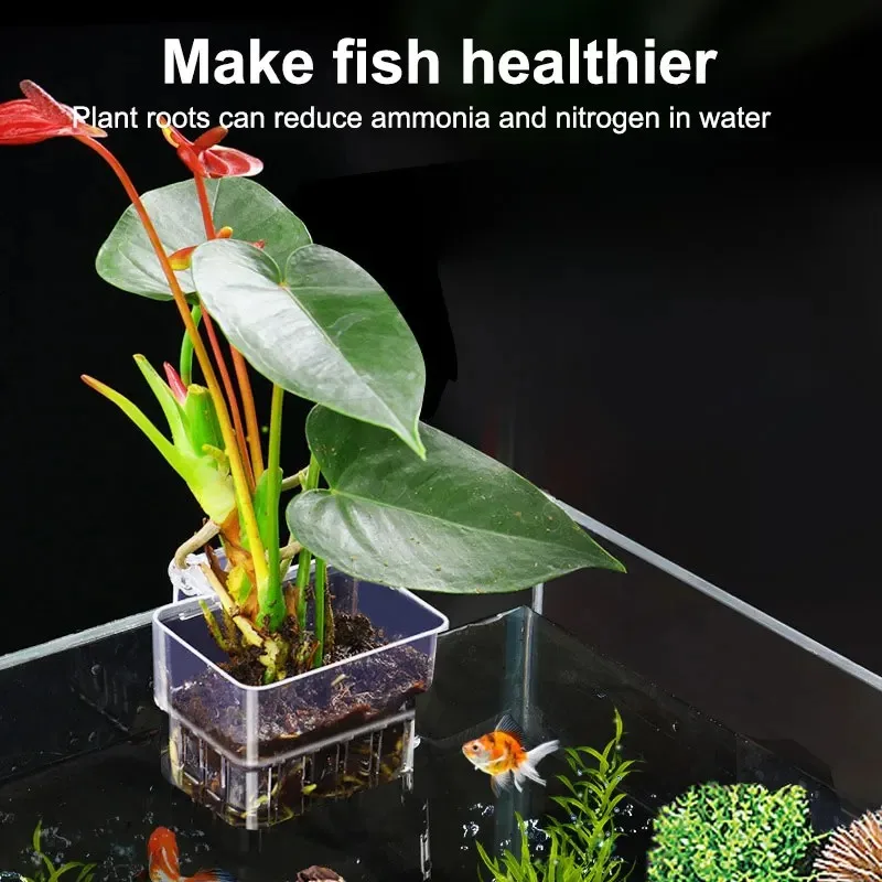 Fish Tank Ornaments Hanging Aquarium Planter Cups Wall Mounted Aquatic Plants Holder Basket