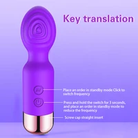 14-Gang-Vibrator, Sexspielzeug für Frau, Dildo, Zauberstab, Anal-Klitoris-Stimulator, kabelloser Vibrator, weiblicher Masturbator, sexy Spielzeug 4