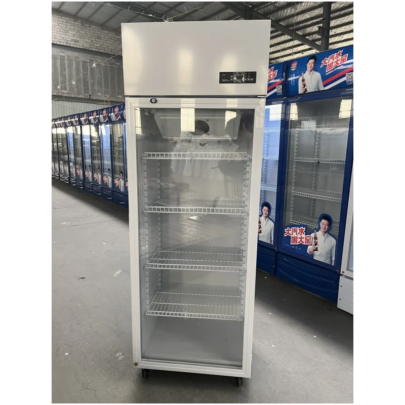 260L Medicine Cooler Cabinet Temperature Adjustable 260 L Hospital Medicine Storage Fridge With Light Box