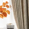 Beige color Curtain