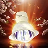Replacement Bare Lamp NP13LP Projector Lamp for NEC NP-VE280X/NP-VE281/NP-VE281X/NP-VE282/NPVE282X/NP110/NP110J/NP115/NP210 2