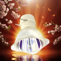 Replacement Bare Lamp NP13LP Projector Lamp for NEC NP-VE280X/NP-VE281/NP-VE281X/NP-VE282/NPVE282X/NP110/NP110J/NP115/NP210 2