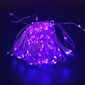 Purple Light