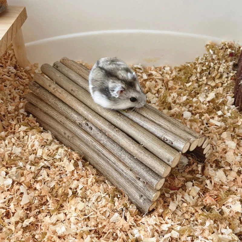 ܽ 콺  ׼   ͳο  Gerbil ͳ  ٸ ó ͳ