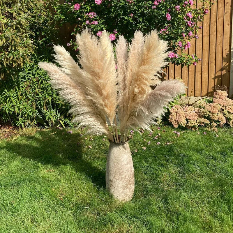 80Cm Large Pampas Grass Flowers Bouquet Fluffy Dried Floral Decoration - 5Pcs