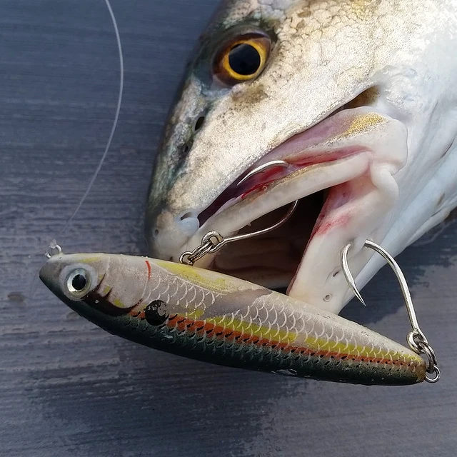 FishTrip Inline Single Hook: The Ultimate Saltwater Hook Replacement