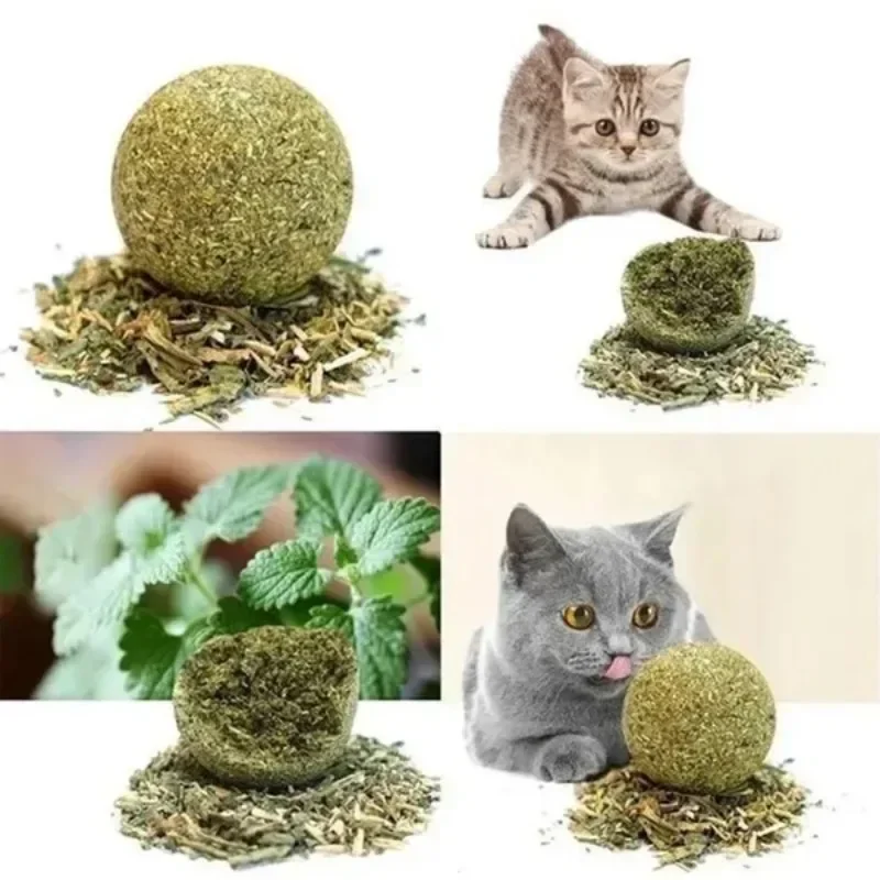 10 Pcs 15mm Healthy Natural Mint Ball Catnip Ball Playing Toy Molars Supplies Pet Snacks Cat Supplies pet toys cat toy cat mint treats