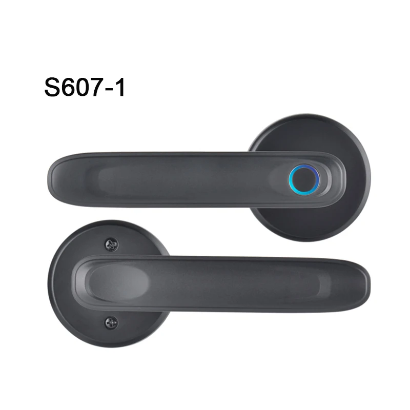 

Competitive Price S607 Smart Life Tuya BLE App Biometric Fingerprint Key Use for Apartment Intelligent Doorlock