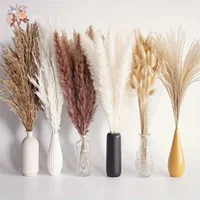 120Pcs Natural Dried Flower Pampas Bouquet Boho