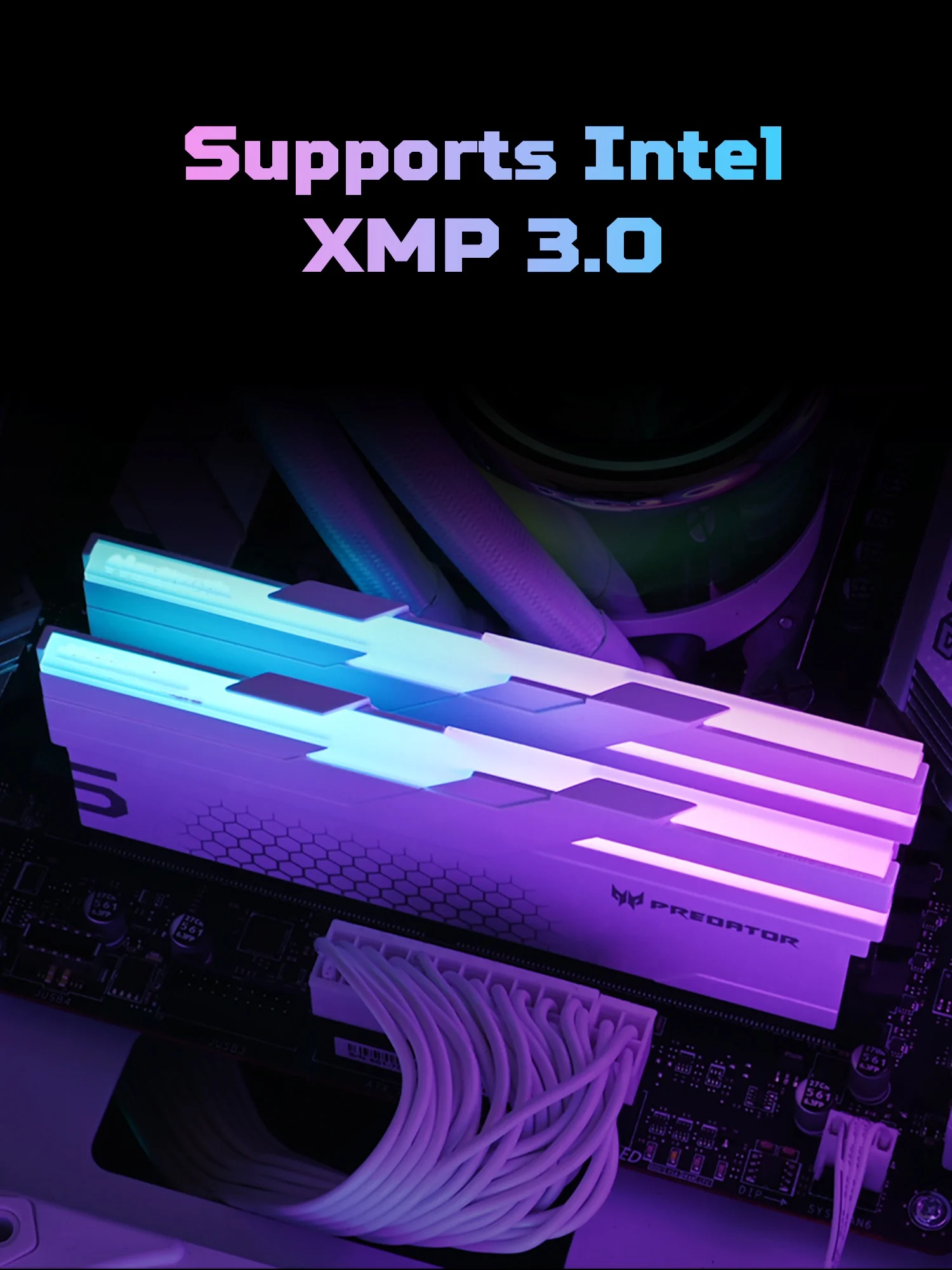 ACER PREDATOR RGB DDR5 RAM Memory 48GB(2x24GB) 6000MHz, CL28
