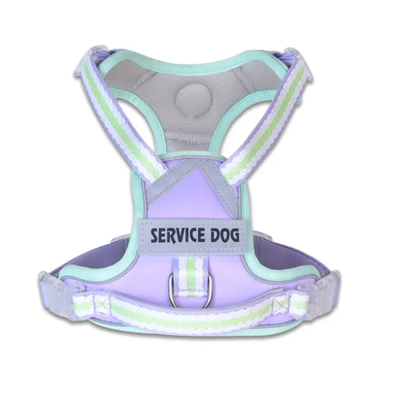 thumbnail image 1 of Nuevo arnés reflectante para perros, arnés para perros con nombre y número de identificación personalizables, correa para mascotas de estilo lindo, collar para perros a prueba de explosiones, 1 of 5
