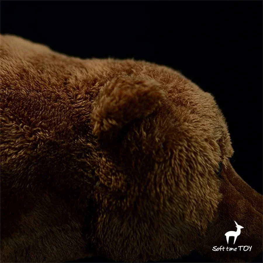 갈색 곰 인형 장난감, 사실적인 회색곰 봉제인형, 실물 같은 코디악곰 인형, 야생 동물 시뮬레이션 인형 선물