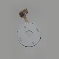 White Only