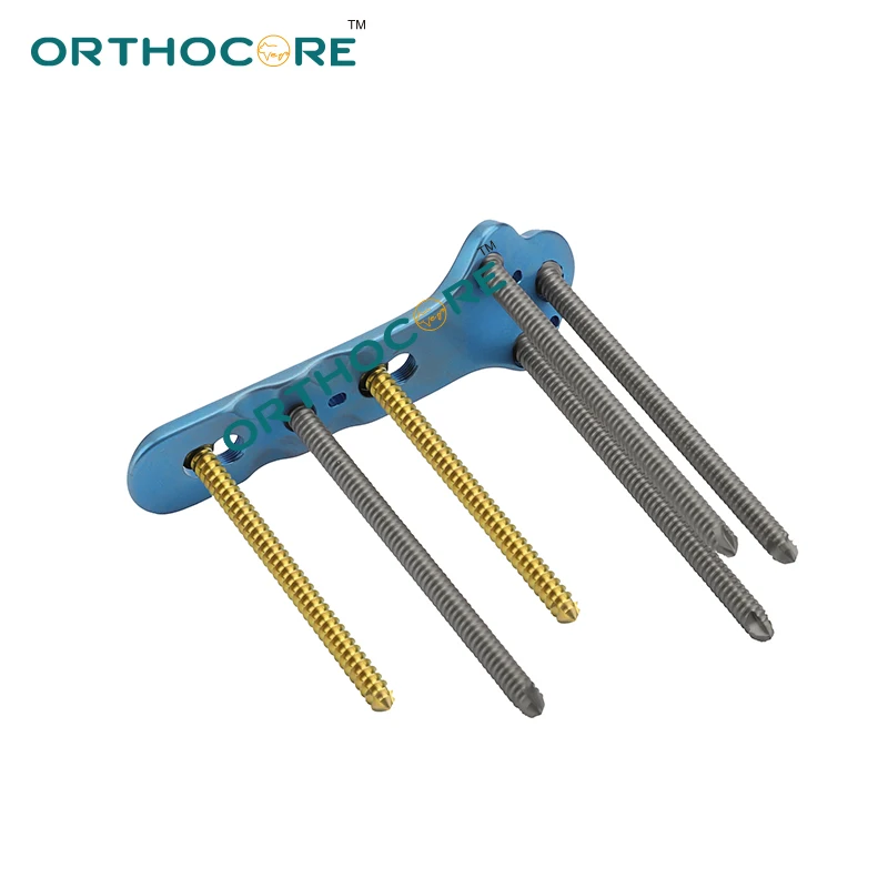 TPLO locking bone plate AO veterinary orthopedic instruments pet animal surgical orthocore kyon cortex screws veterinary surgical instruments orthopedic instruments