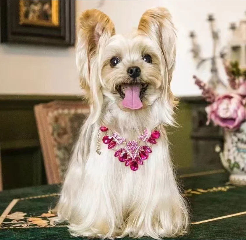 

Подвески CINSYPet, ювелирные изделия для кошек, ожерелья для женщин, трендовые изделия, цепочки, ожерелье для собаки, созвездие, Женское Ожерелье