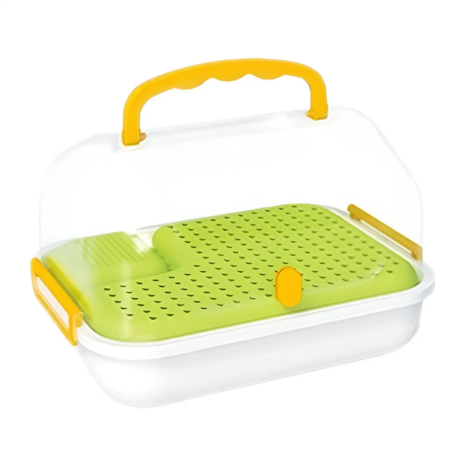 Turtle Tank Amphibians Multifunction Areas Tortoises Case Turtle Terrarium for Snail Butterflies Horned Frogs Turtle Silkworms