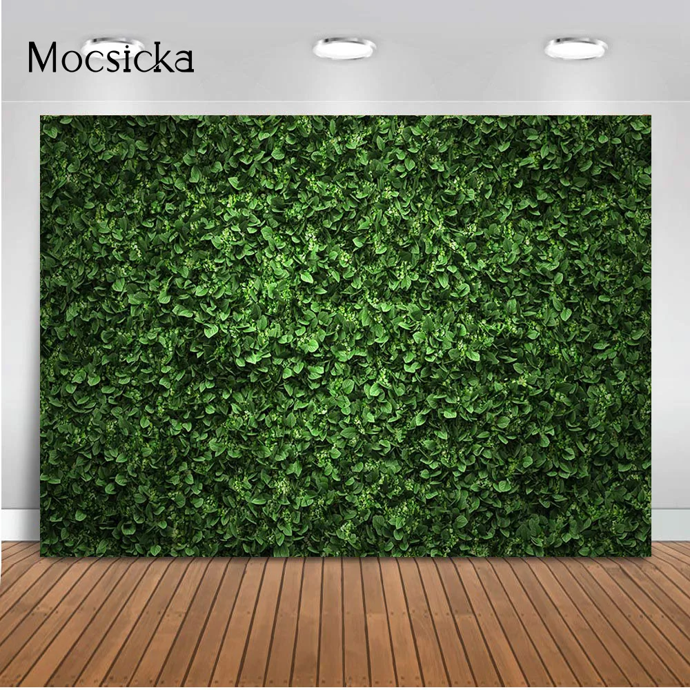 Mocsicka ܵ     ȥ ź       Ŀ Ʃ