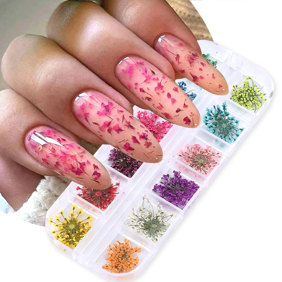 

12 Grids Colorful Lace Dried Flowers Nail Charms Natural Floral Stickers Jewelry Summer Pressed On Nails Manicure Decor Decals