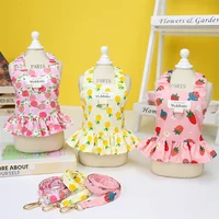 Fruit Print Dog Dress with D-ring