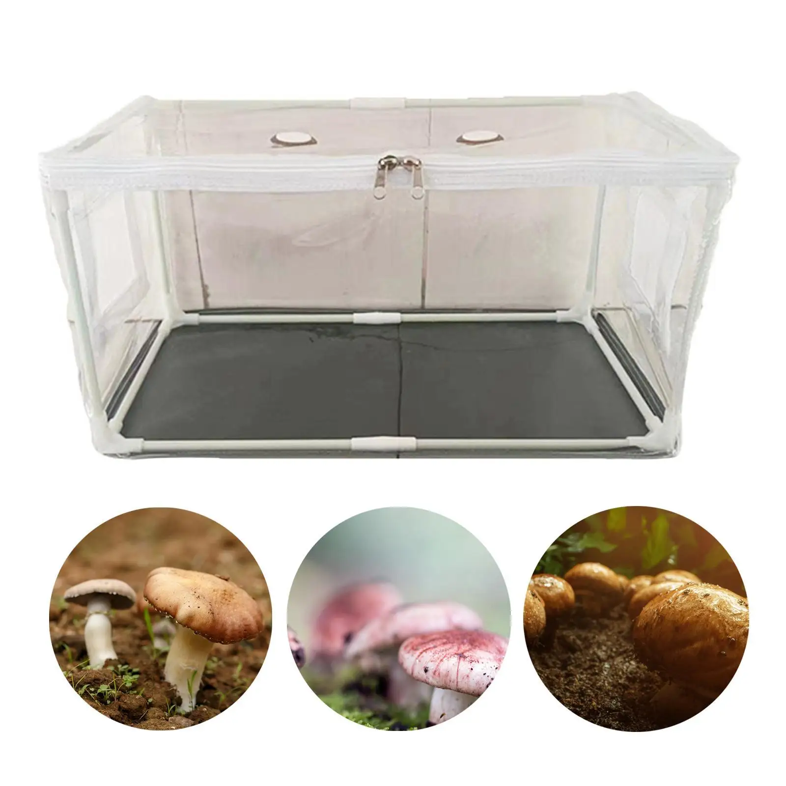 Mushroom Container, DIY Kit Transparent Cover, Portable Horticulture Supplies Mini Greenhouse for Mushroom Planting Supplies
