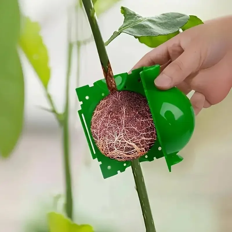 5/10Pcs Plant Rooting Equipment High Pressure Propagation Ball Garden Graft Box Plant Hydroponics Propagation Graft Nursery Box plant rooting box plant rooting pot hydroponic gardening kit hydroponic planting tools