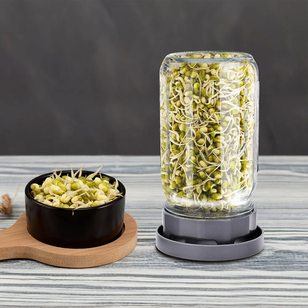 Description Picture 5 of item2pcs Plastic Sprouting Lid Mesh Sprout Cover Seed Crop Germination Vegetable Plastic Sealing Ring Lid for Mason Jar