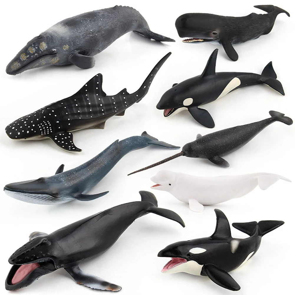 

Simulate Whale Animal Modeling Educational Toy for Kids Rome Decoration
