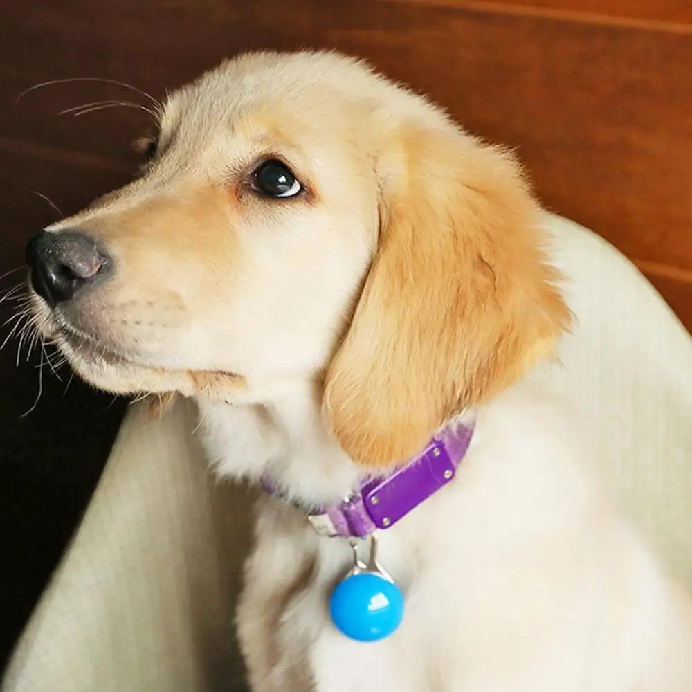Cute Pet Night Safety LED Flashlight Collar Dog Guide Lights Glowing Pendant Necklace Pet Luminous Bright Glowing Collar Dark