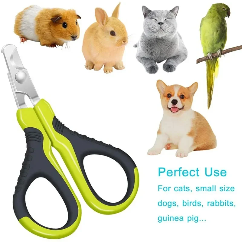 

Cat Nail Clippers Pet Scissors Small Dog Cleaning Grooming Tools Trimmers Scissors for Kitten Rabbit Puppy Ferret Small Animals