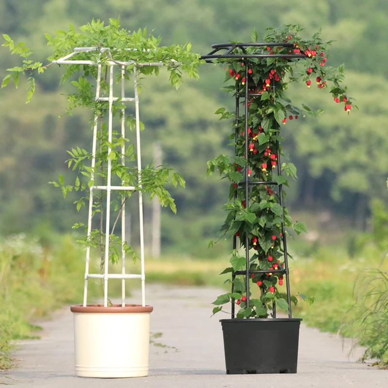 Umbrella Style Flower Trellis Outdoor Climbing Plant Support for Rose or Clematis 14mm Tube Diameter