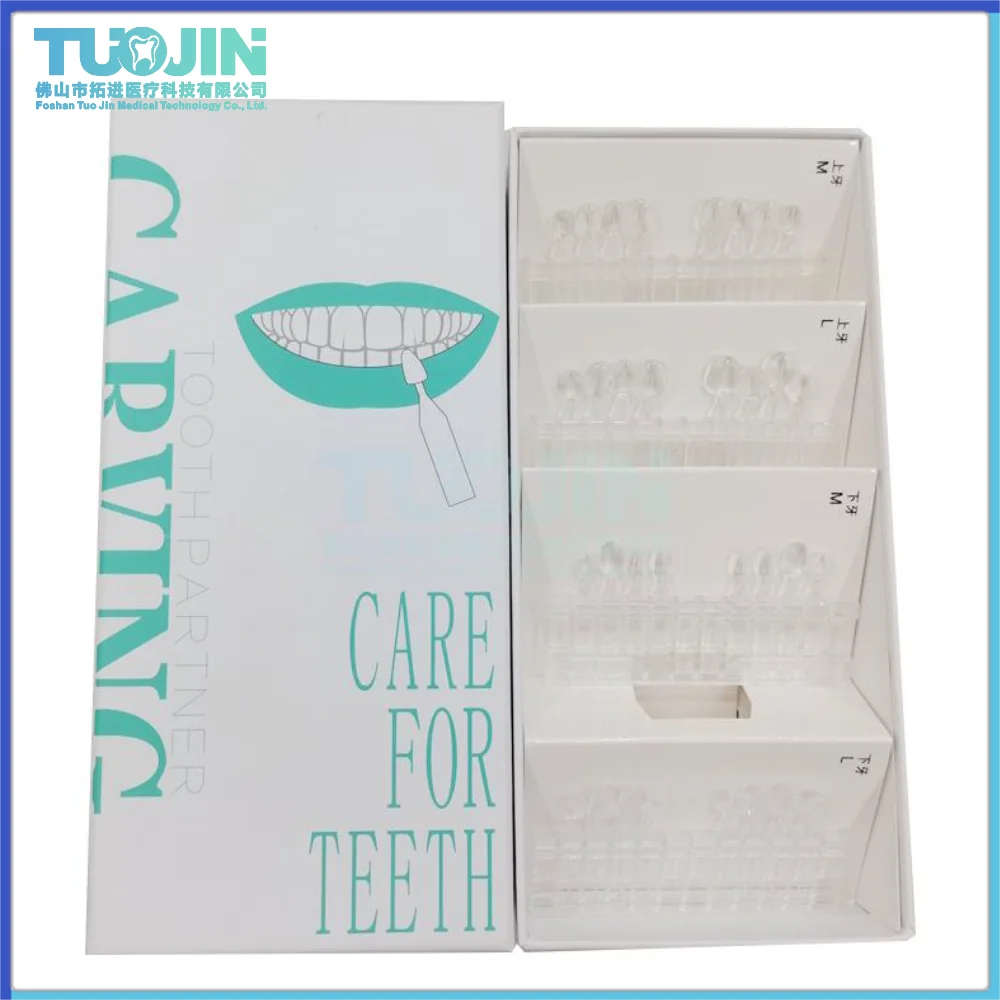 

Dental Mould Composite Resin Light Cure Filling Teeth Orthodontic Material Anterior Front Veneers Anterior Tooth Whiting Tool