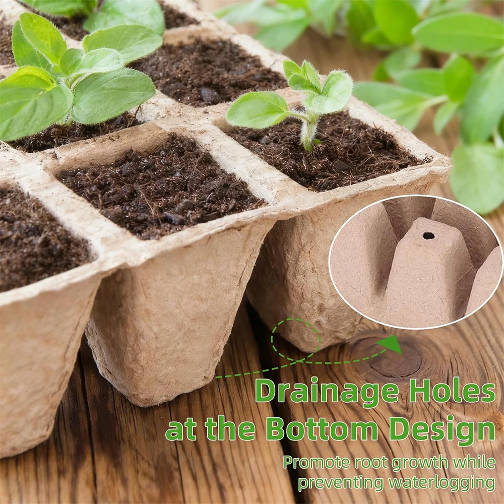 Biodegradable 300-Cell Seed Starter Kit with Domed Germination Trays